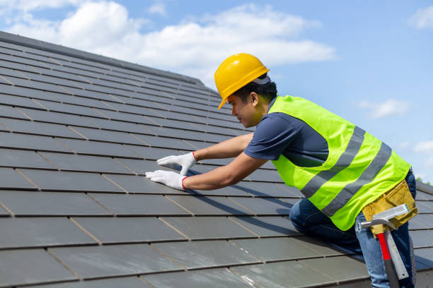 Best Roof Gutter Cleaning  in Miami Shores, FL