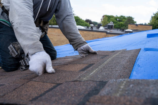 Best Roofing Contractors for Homes  in Miami Shores, FL