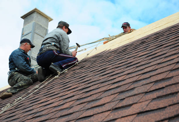 Tile Roofing Contractor in Miami Shores, FL